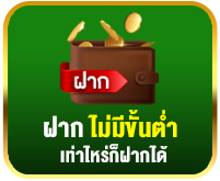 ปุ่มแถบยาว-3-2